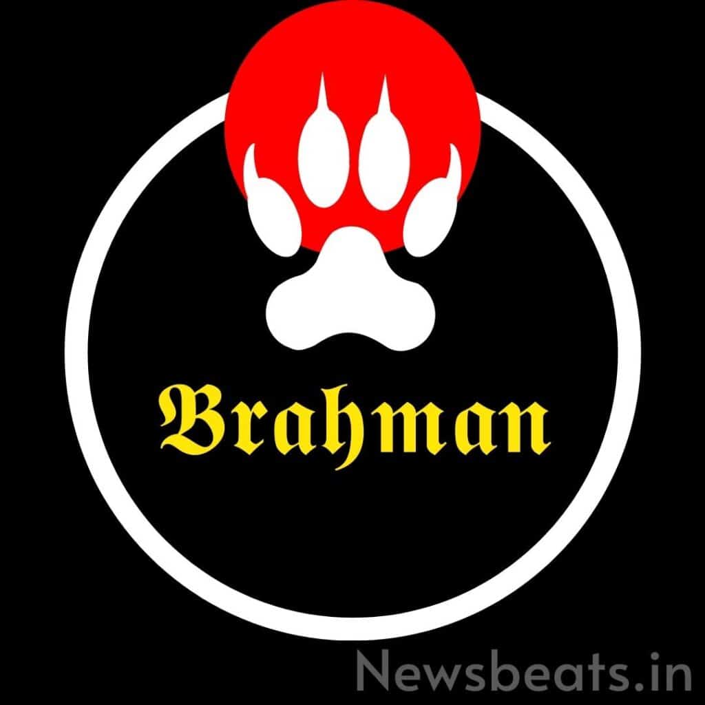 brahman logo