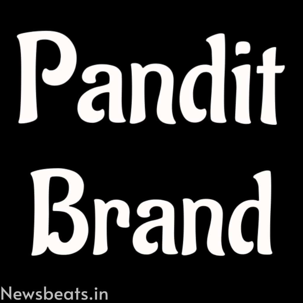pandit  logo image